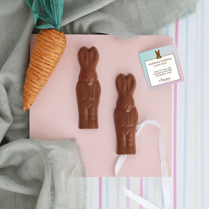 two chocolate bunnies with a paper carrot on a pink background