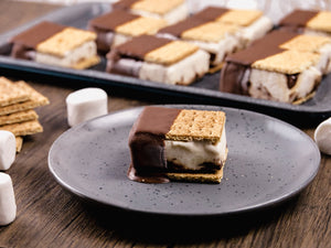 chuao's frozen s'mores ice cream sandwiches