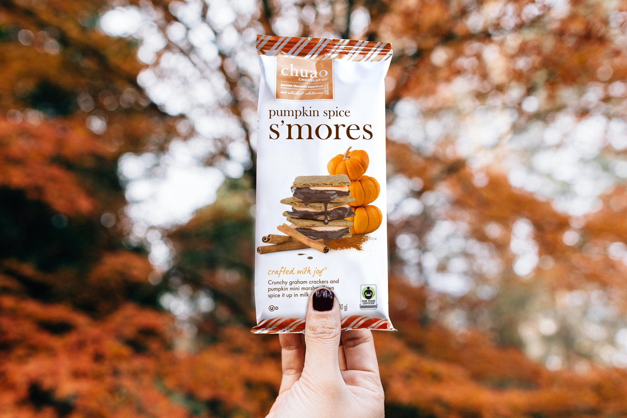 pumpkin spice s'mores chocolate bar in fall background