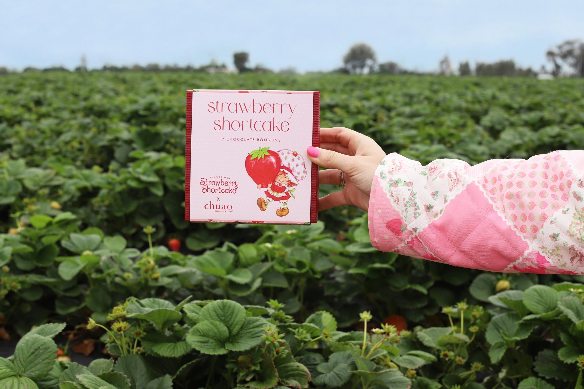 An arm holding a box of chuao and strawberry shortcake bonbons in a strawberry field