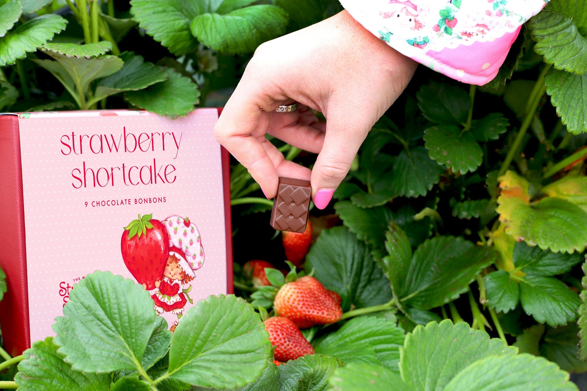 A woman's hand picking a chocolate bonbon in a strawberry field next to a box of strawberry shortcake and chuao bonbons